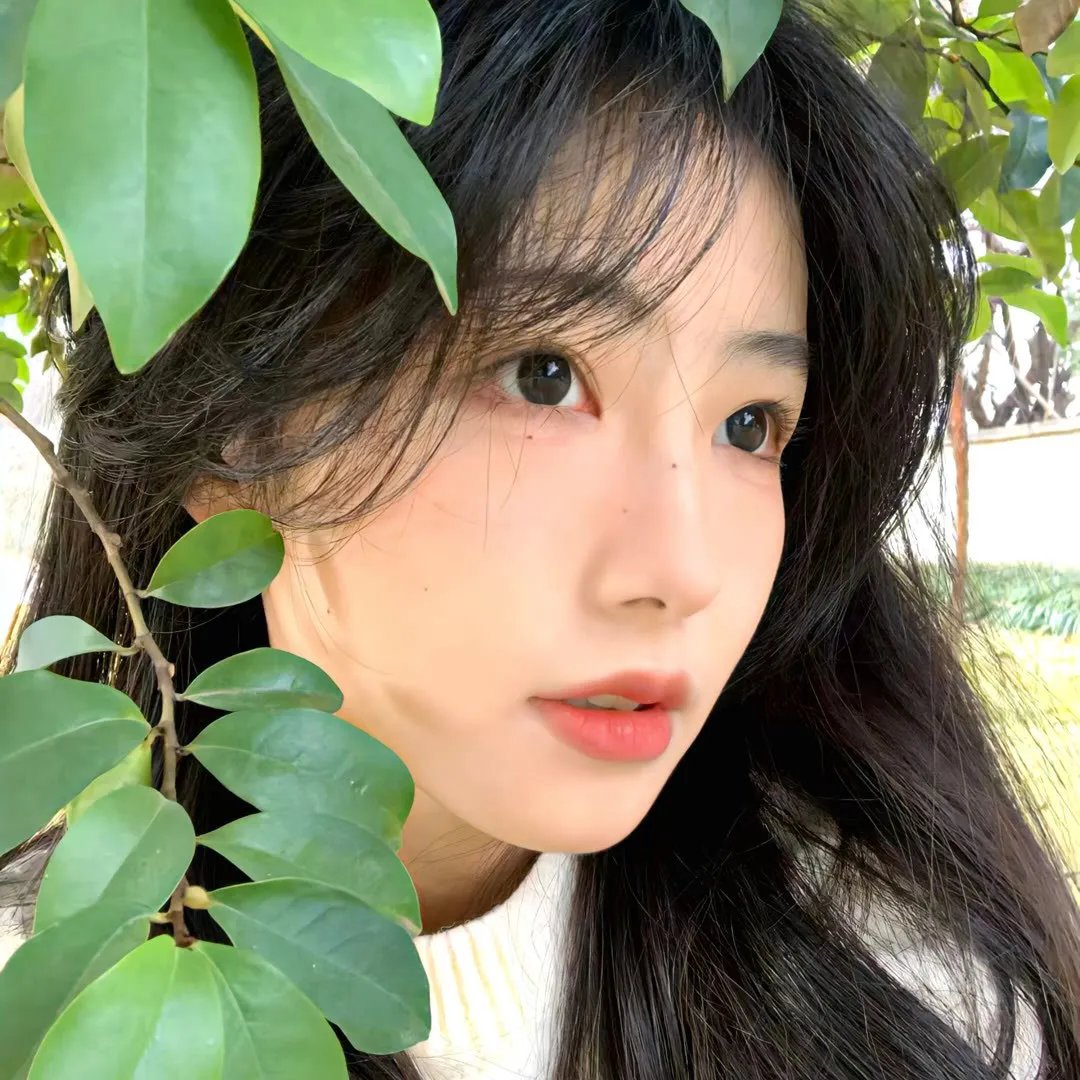 女巫也疯狂